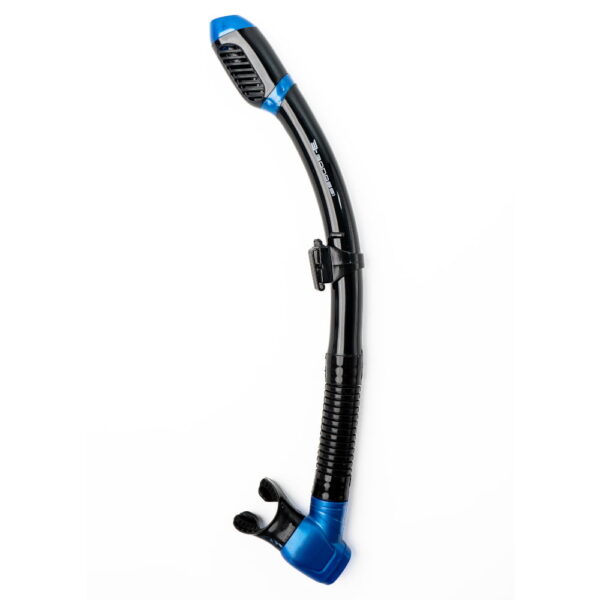 Aruba Snorkel